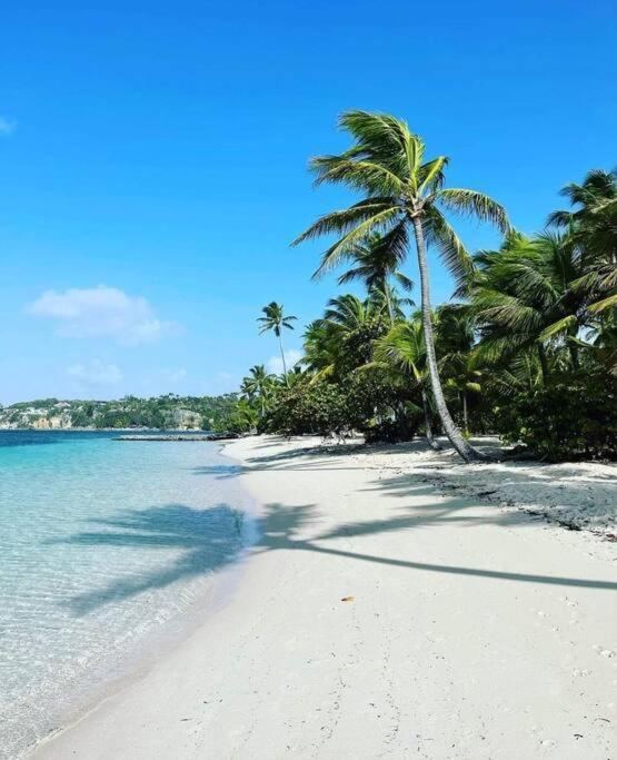 Les Pieds Dans L'Eau Chez Syl Appartement Le Moule Buitenkant foto