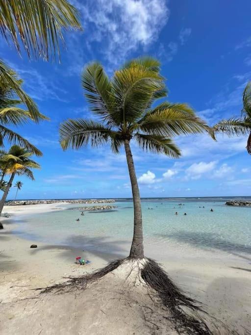 Les Pieds Dans L'Eau Chez Syl Appartement Le Moule Buitenkant foto