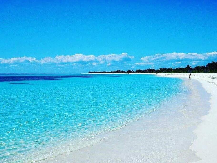 Les Pieds Dans L'Eau Chez Syl Appartement Le Moule Buitenkant foto