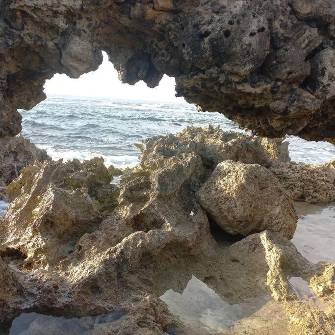Les Pieds Dans L'Eau Chez Syl Appartement Le Moule Buitenkant foto