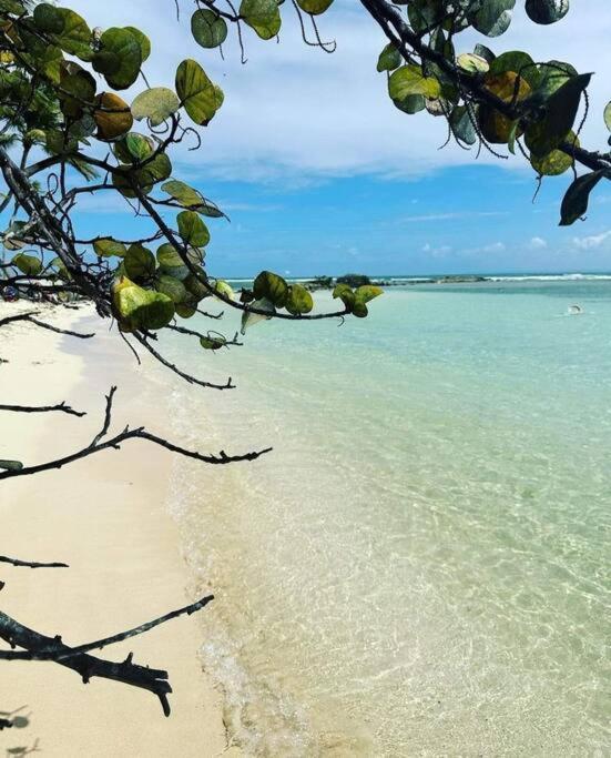 Les Pieds Dans L'Eau Chez Syl Appartement Le Moule Buitenkant foto